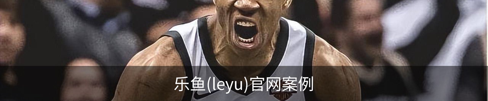 乐鱼(leyu)官网案例